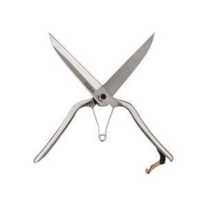 Precision Secateurs
