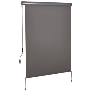 Vertikal markise balkonmarkise vertikal markise vindbeskyttelse sidegardin privatlivsskærm med håndsving polyesterstof + aluminiumsgrå 250 x 140 cm