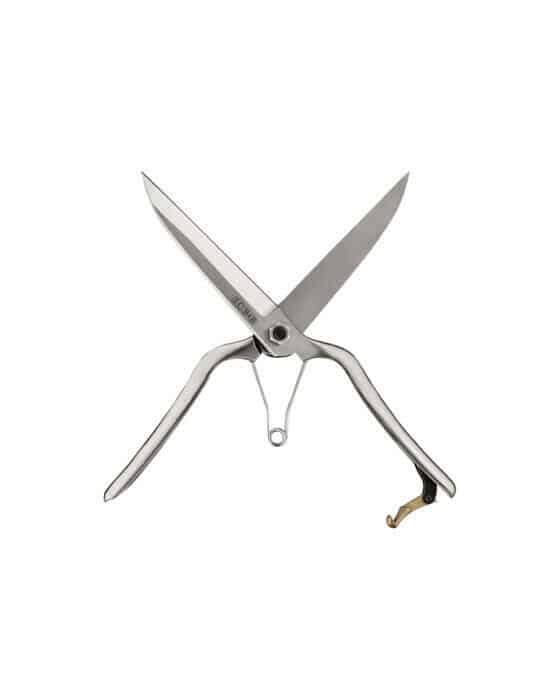 Precision Secateur